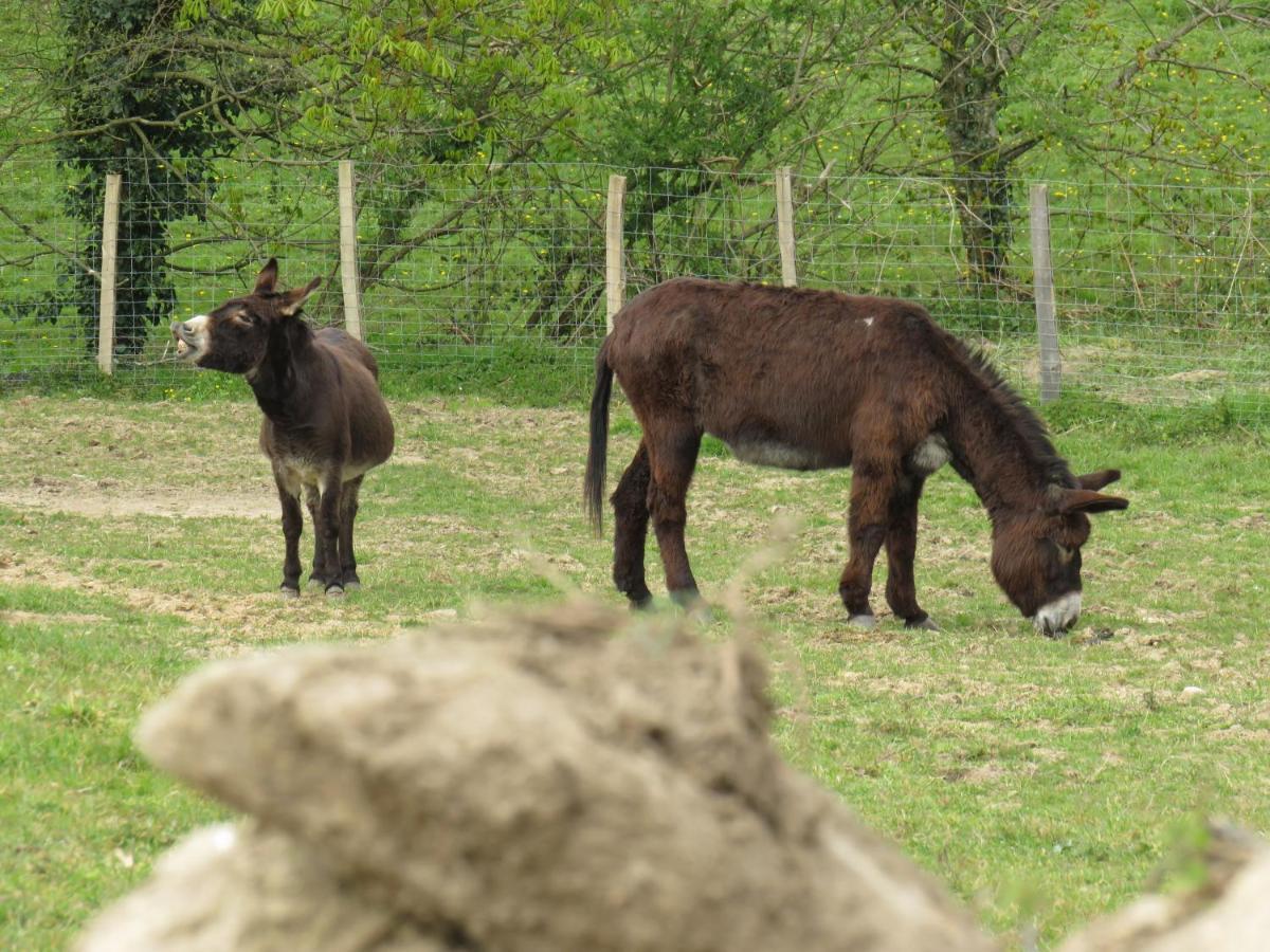 Domaine Des Fees Apartman La Gaubretiere Kültér fotó