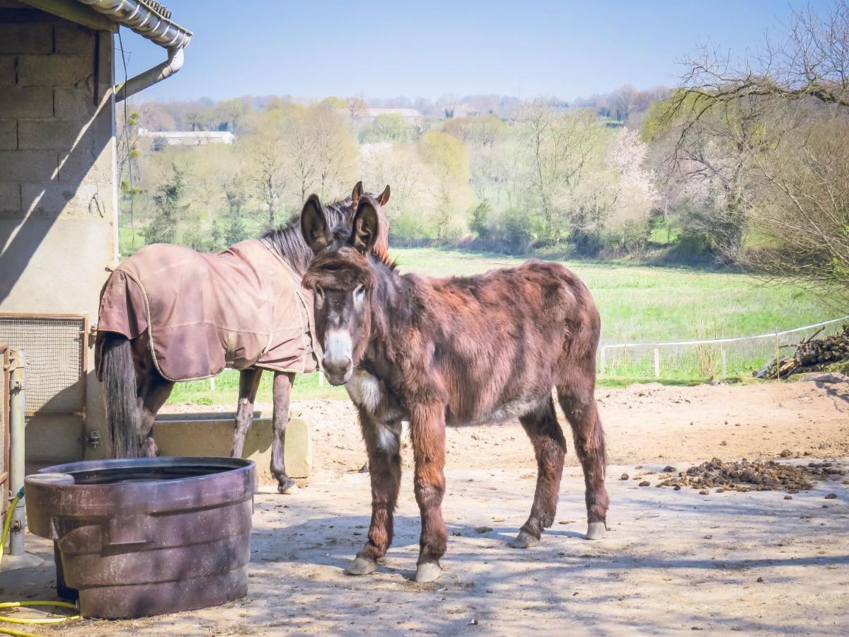 Domaine Des Fees Apartman La Gaubretiere Kültér fotó