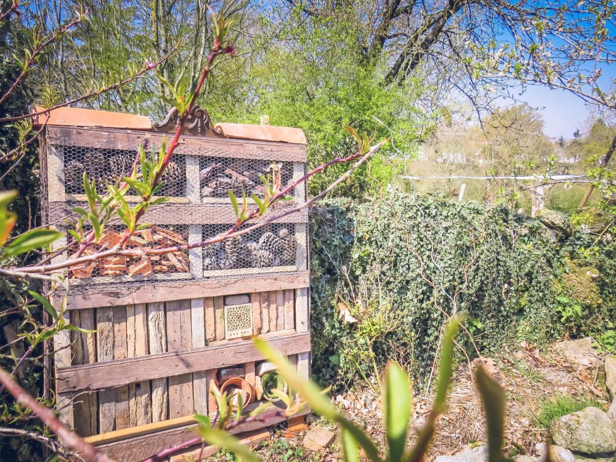 Domaine Des Fees Apartman La Gaubretiere Kültér fotó